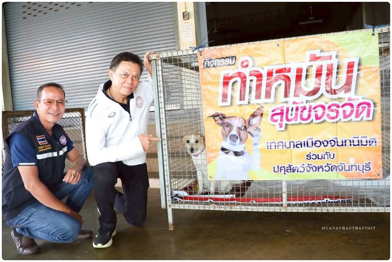 ภาพผลงานที่ 13