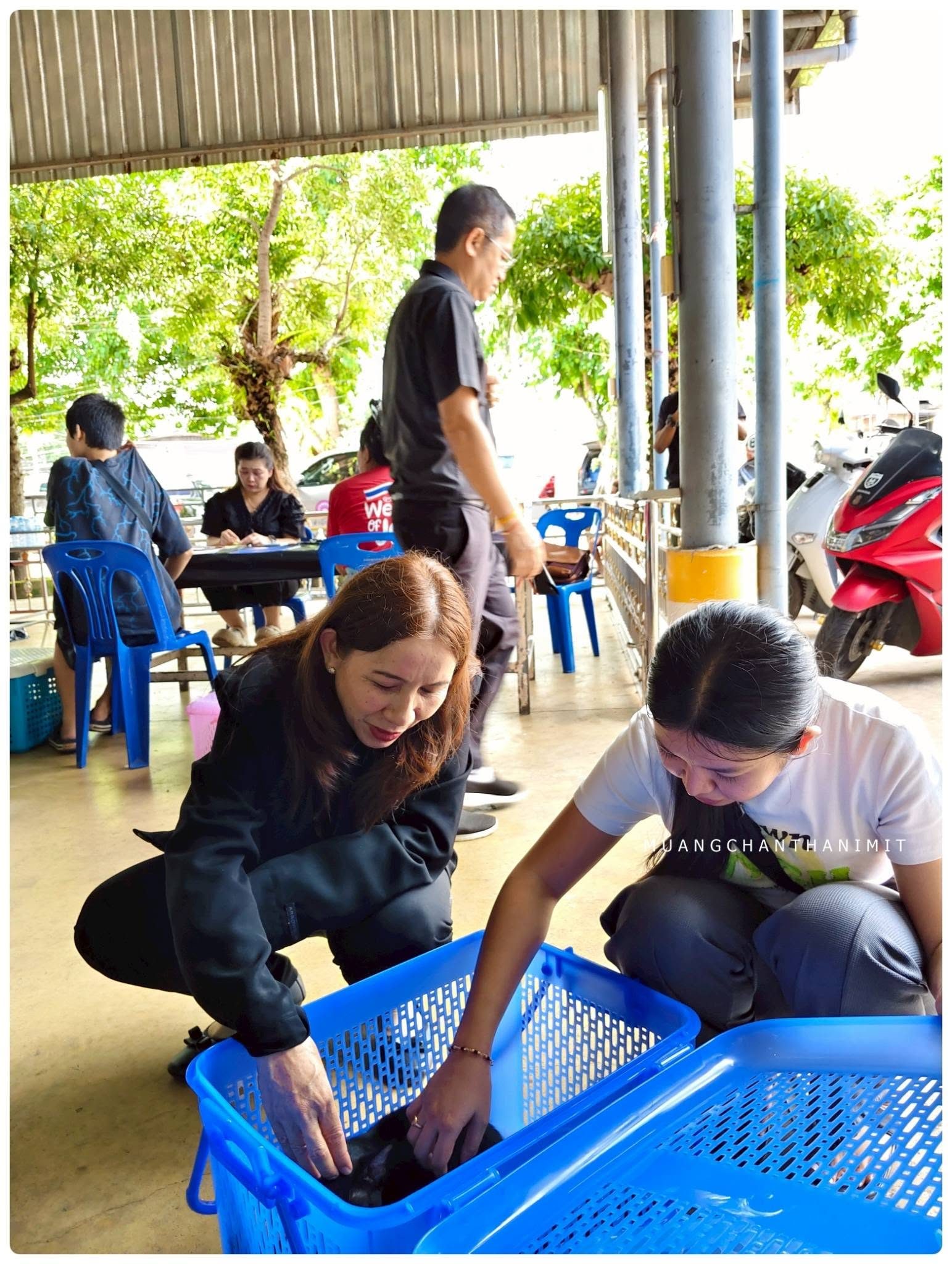 ภาพผลงานที่ 7